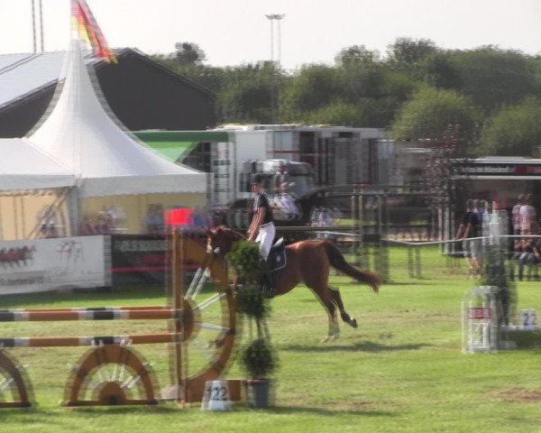 Reitturnier Holdorf 2015