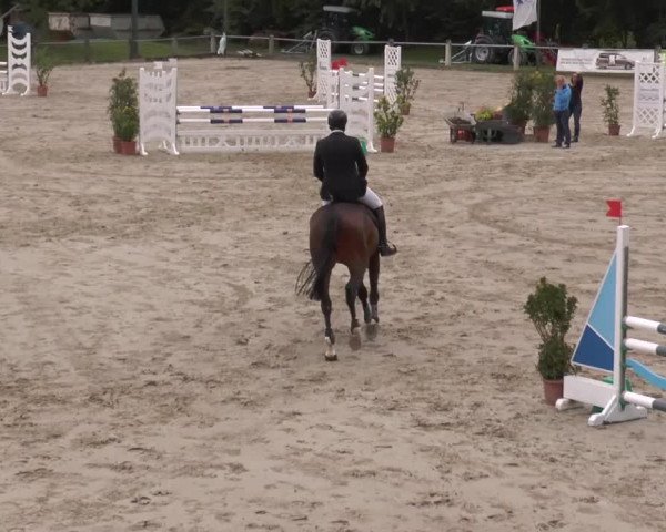 Bad Rothenfelder Reitertage 2015
