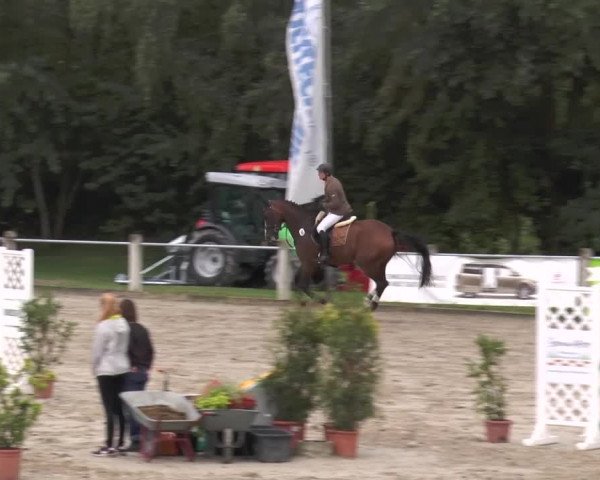 Bad Rothenfelder Reitertage 2015