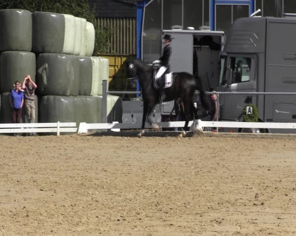 Reitturnier Bühren-Breckerfeld 2015