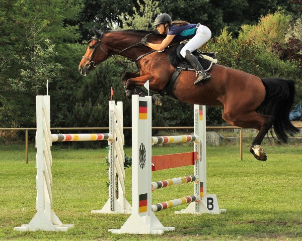 jumper Gru (Holsteiner, 2010, from Carentan)