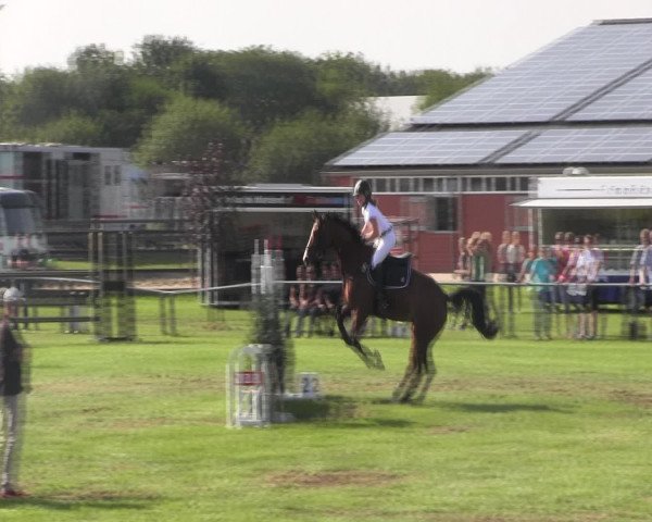 Reitturnier Holdorf 2015