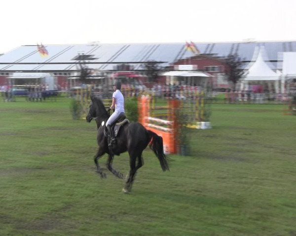 Reitturnier Holdorf 2015