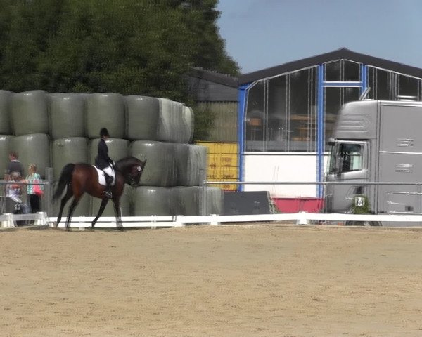Reitturnier Bühren-Breckerfeld 2015