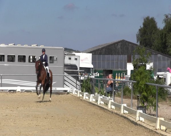 Reitturnier Bühren-Breckerfeld 2015