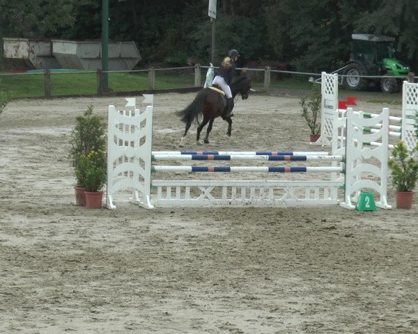 Bad Rothenfelder Reitertage 2015