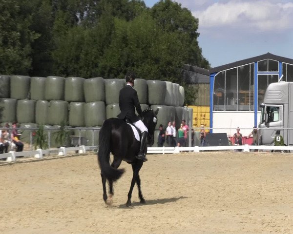 Reitturnier Bühren-Breckerfeld 2015