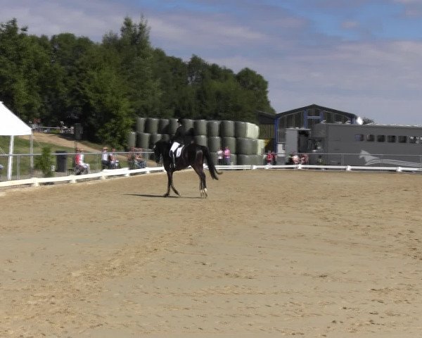 Reitturnier Bühren-Breckerfeld 2015