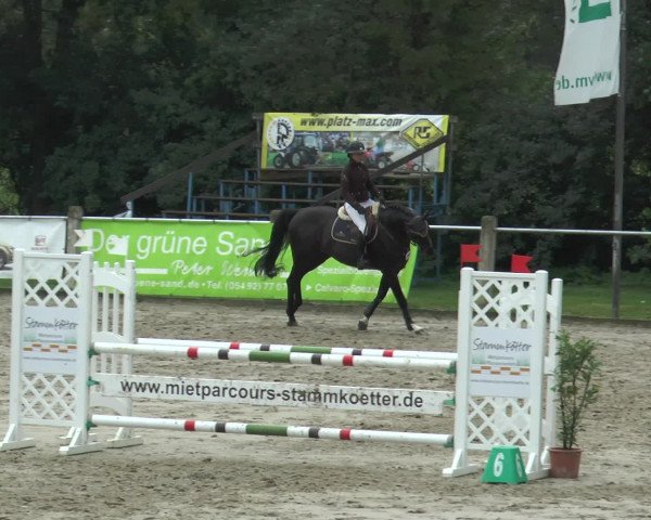 Bad Rothenfelder Reitertage 2015