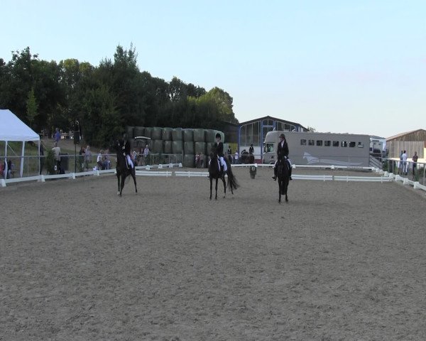 Reitturnier Bühren-Breckerfeld 2015