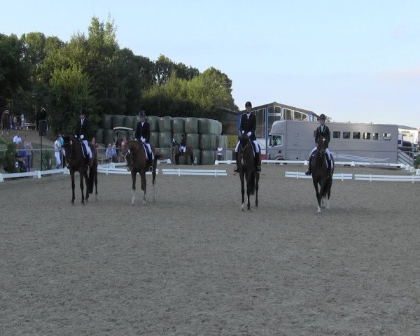 Reitturnier Bühren-Breckerfeld 2015