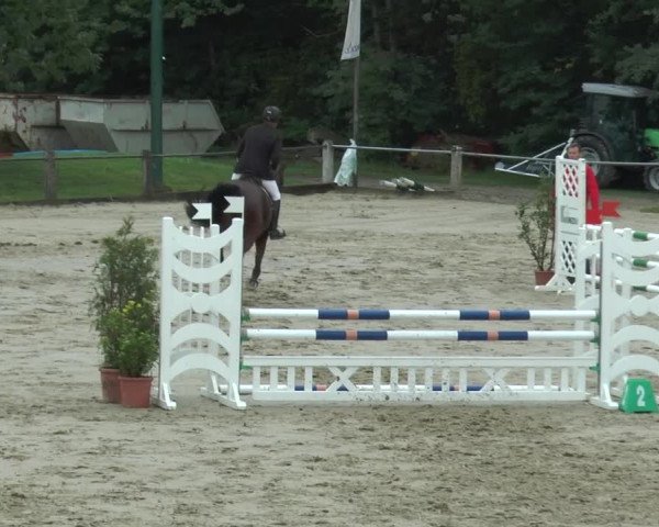 Bad Rothenfelder Reitertage 2015