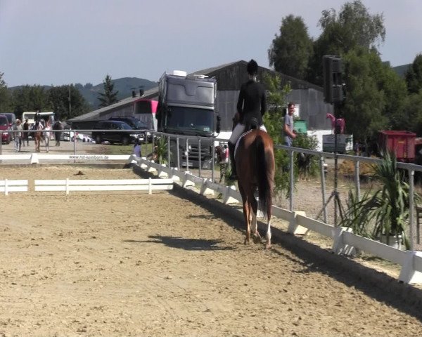 Reitturnier Bühren-Breckerfeld 2015