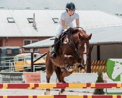 broodmare Zandra (Holsteiner, 2007, from Catoki)