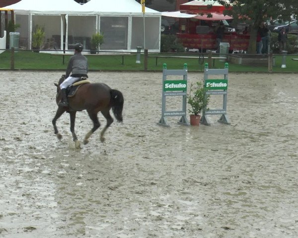 Bad Rothenfelder Reitertage 2015
