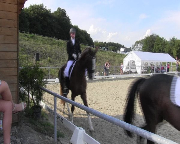 Reitturnier Bühren-Breckerfeld 2015