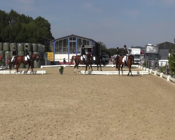 Reitturnier Bühren-Breckerfeld 2015
