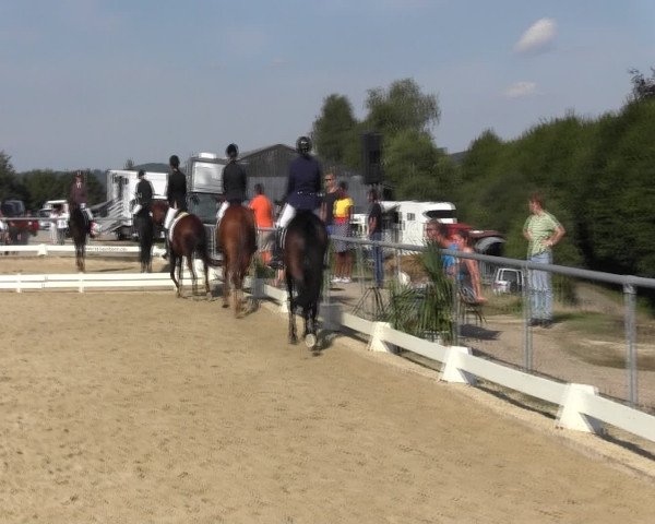 Reitturnier Bühren-Breckerfeld 2015