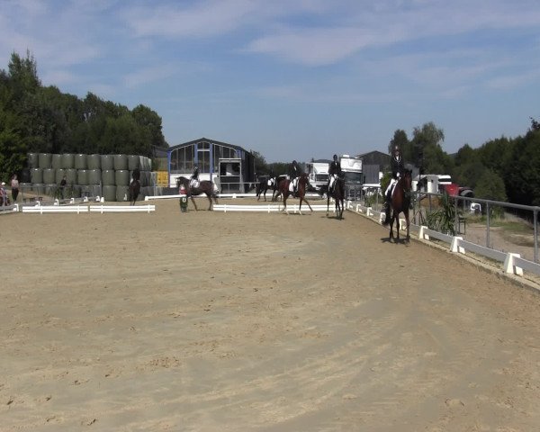 Reitturnier Bühren-Breckerfeld 2015