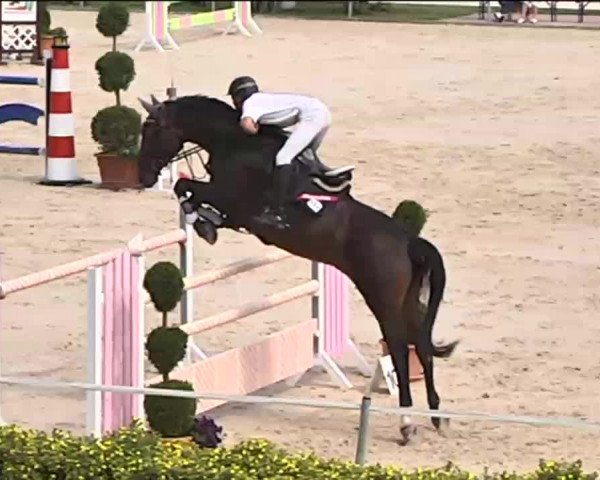Reitturnier Waldachtal-Heiligenbronn 2015