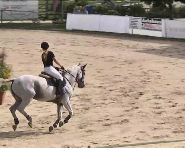 Reitturnier Waldachtal-Heiligenbronn 2015