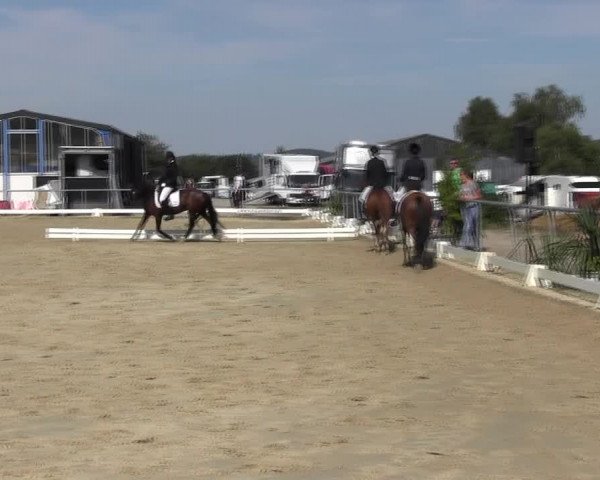 Reitturnier Bühren-Breckerfeld 2015