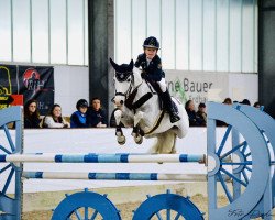 jumper Lilith (German Riding Pony, 2008, from Dexter Leam Pondi)