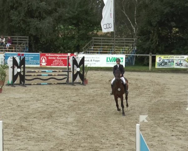 Bad Rothenfelder Reitertage 2015