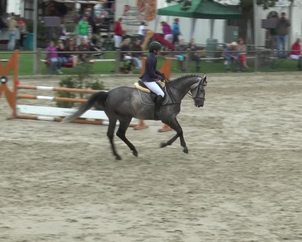 Bad Rothenfelder Reitertage 2015
