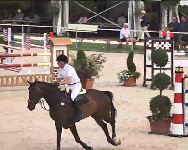 Reitturnier Waldachtal-Heiligenbronn 2015