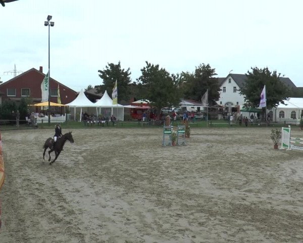 Bad Rothenfelder Reitertage 2015