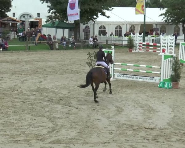 Bad Rothenfelder Reitertage 2015