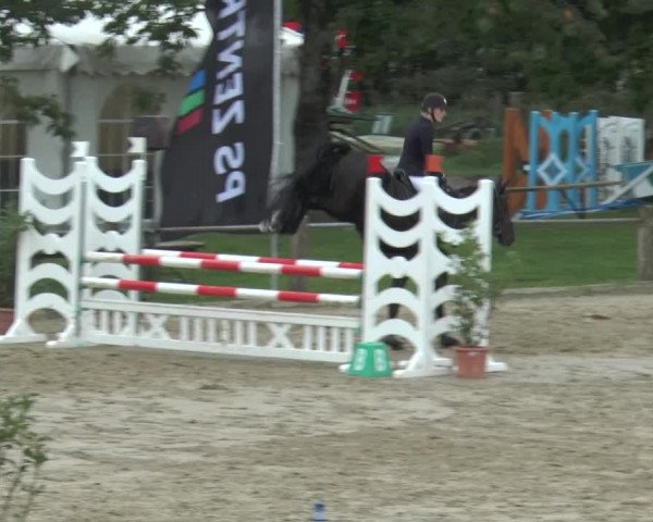 Bad Rothenfelder Reitertage 2015