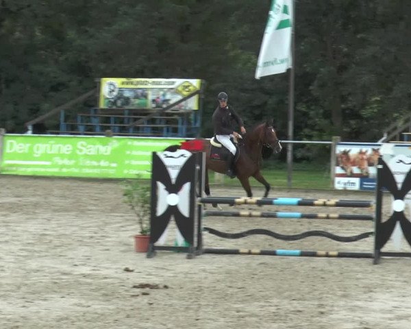 Bad Rothenfelder Reitertage 2015