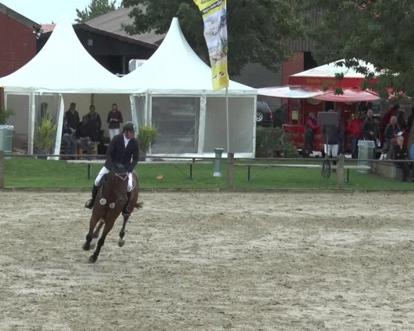 Bad Rothenfelder Reitertage 2015