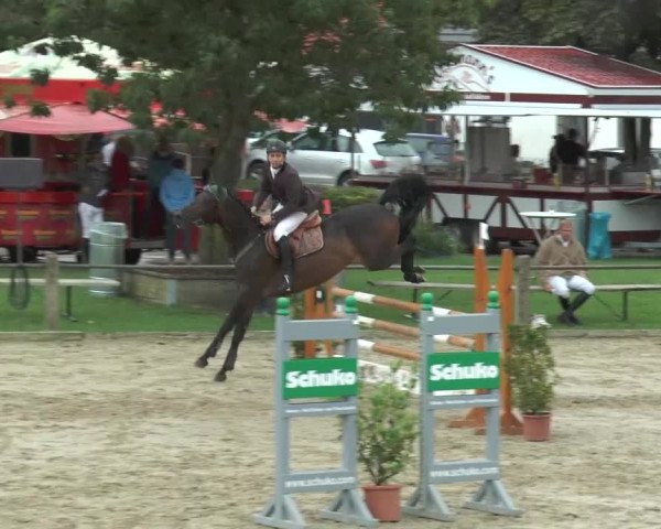 Bad Rothenfelder Reitertage 2015