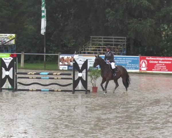 Bad Rothenfelder Reitertage 2015