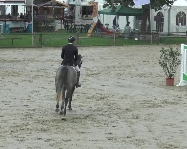 Bad Rothenfelder Reitertage 2015