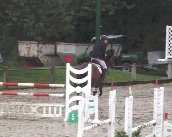Bad Rothenfelder Reitertage 2015