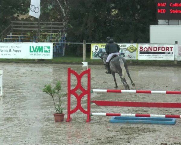 Bad Rothenfelder Reitertage 2015