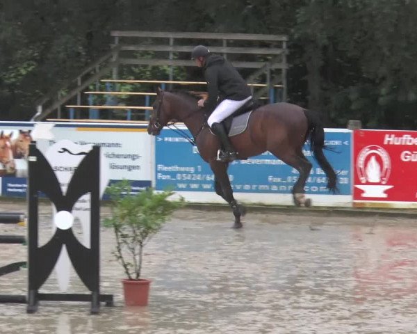 Bad Rothenfelder Reitertage 2015