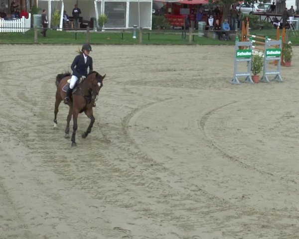 Bad Rothenfelder Reitertage 2015