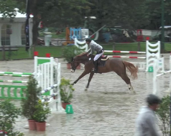 Bad Rothenfelder Reitertage 2015