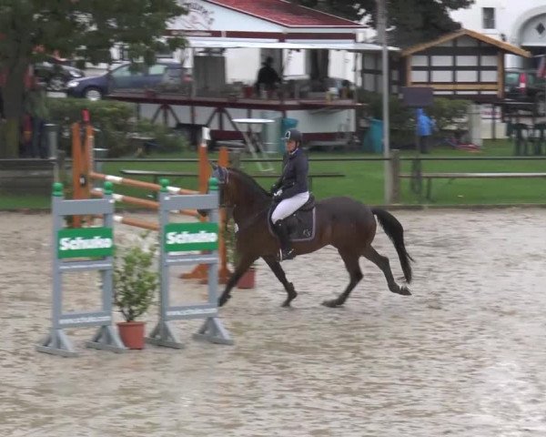 Bad Rothenfelder Reitertage 2015