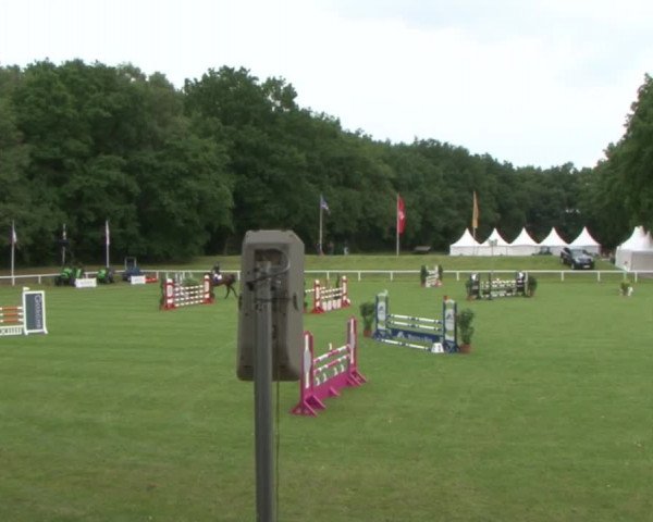 Schenefelder Sommerturnier 2015 - Horse & Classic