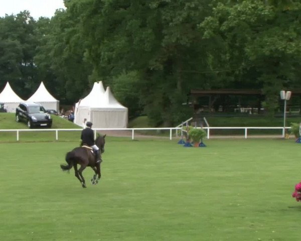 Schenefelder Sommerturnier 2015 - Horse & Classic
