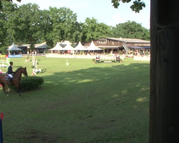 Schenefelder Sommerturnier 2015 - Horse & Classic