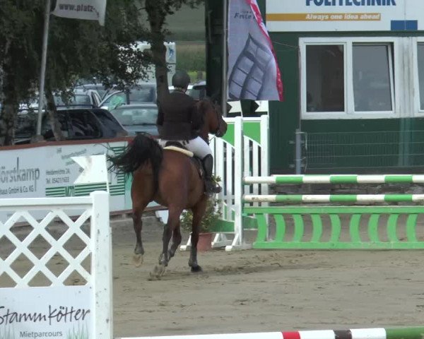 Bad Rothenfelder Reitertage 2015