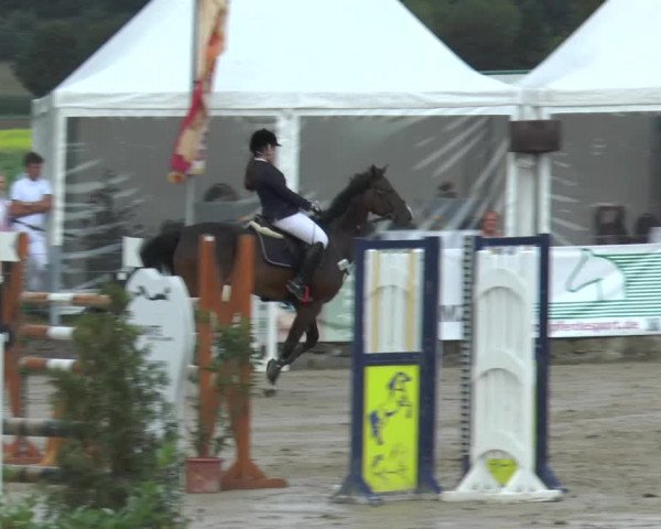 Bad Rothenfelder Reitertage 2015