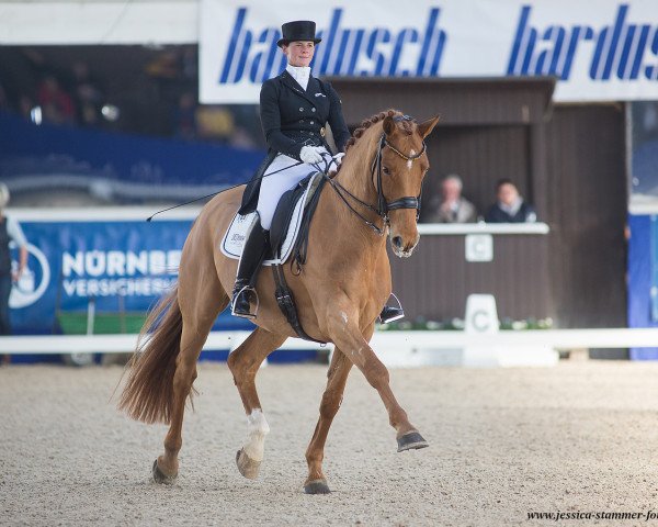 Deckhengst Duisenberg (Hannoveraner, 2009, von Desperados FRH)
